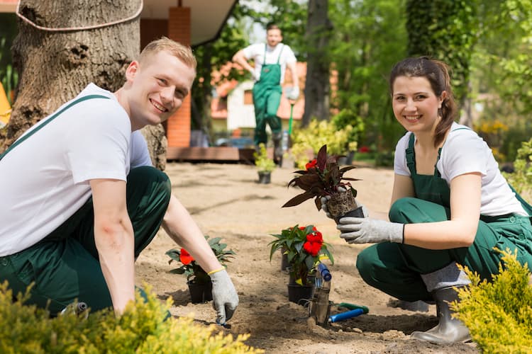 Gartenbau Zena – Ihr Fachbetrieb